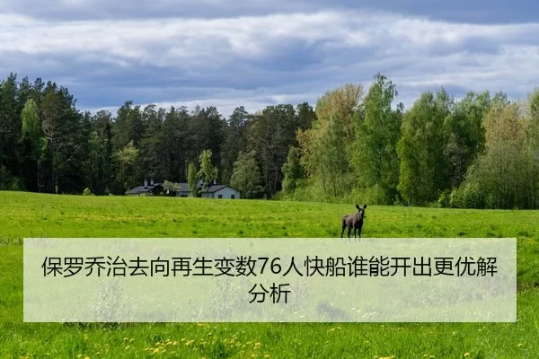 bao-luo-qiao-zhi-qu-xiang-zai-sheng-bian-shu-ren-kuai-chuan-shui-neng-kai-chu-geng-you-jie-fen-xi-2-471.jpg