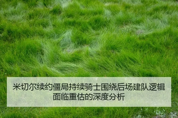 mi-qie-er-xu-yue-jiang-ju-chi-xu-qi-shi-wei-rao-hou-chang-jian-dui-luo-ji-mian-lin-zhong-gu-de-shen-du-fen-xi-2-796.jpg