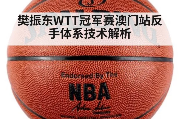 樊振东WTT冠军赛澳门站反手体系技术解析