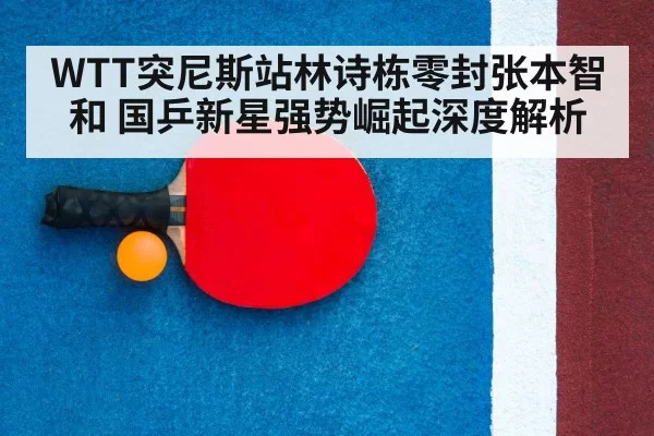table tennis racket and ball